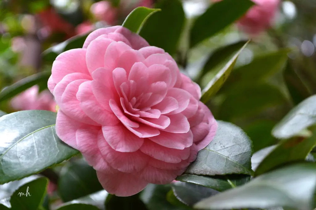 f58adb0d2152695b83ffc1040f60bd52 1