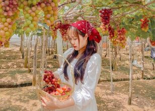 Nho Ninh Thuận: Khám Phá Đặc Sản Trứ Danh Của Vùng Đất Nắng Gió 6 Mua nho Ninh Thuận chất lượng tại các nhà vườn uy tín