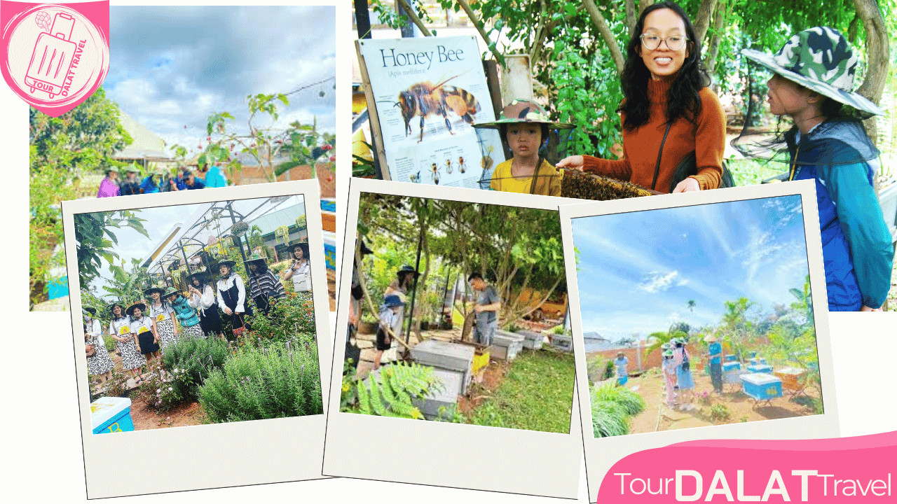 Nông Trại Ong Đà Lạt