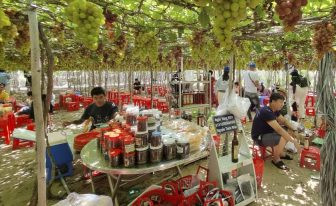Nho Ninh Thuận: Khám Phá Đặc Sản Trứ Danh Của Vùng Đất Nắng Gió 3 Các chế phẩm đa dạng từ nho Ninh Thuận