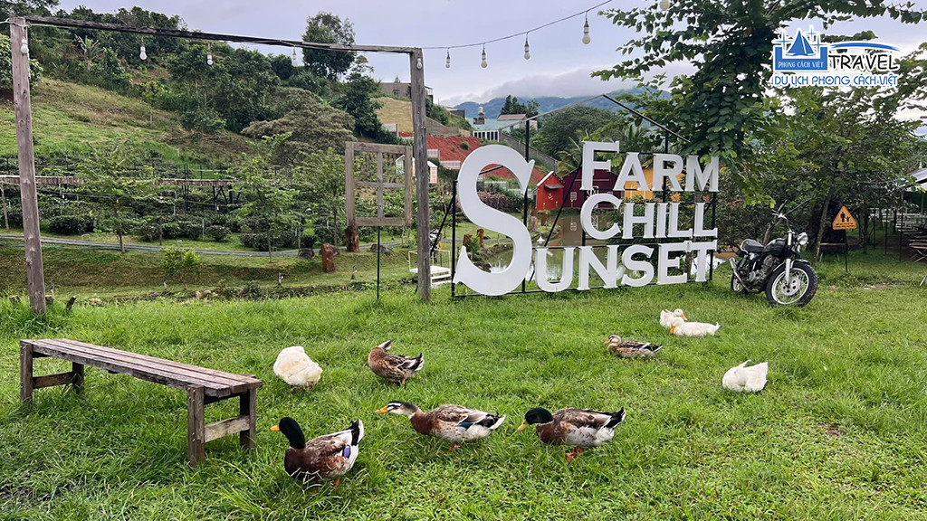 Du khách ngắm hoàng hôn tuyệt đẹp tại Sunset Chill Coffee, Bảo Lộc