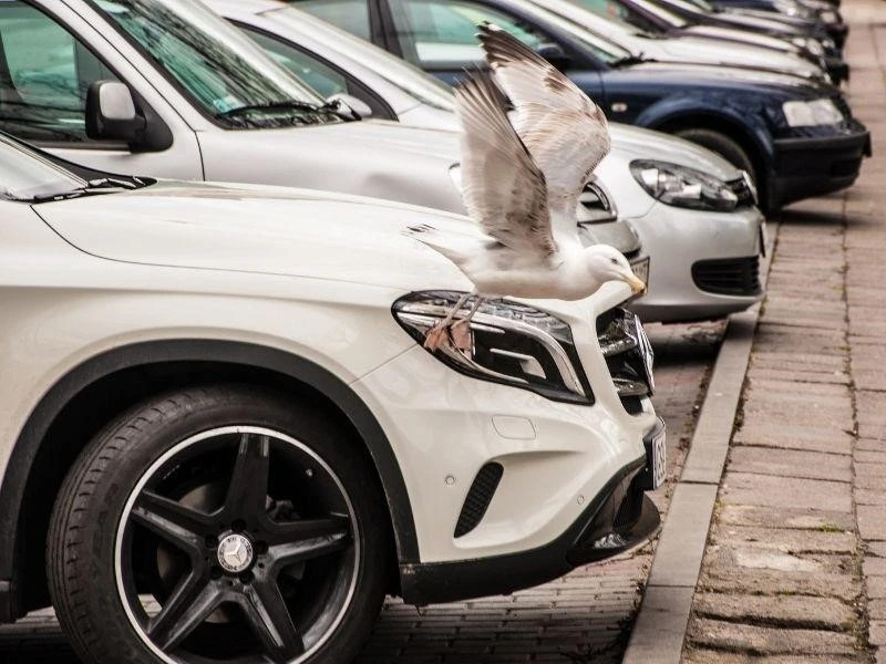 Tour Caravan Là Gì? Xu Hướng Du Lịch Tự Do Đang "Lên Ngôi" 3 Lãnh đạo đoàn Caravan đang thảo luận lộ trình chi tiết