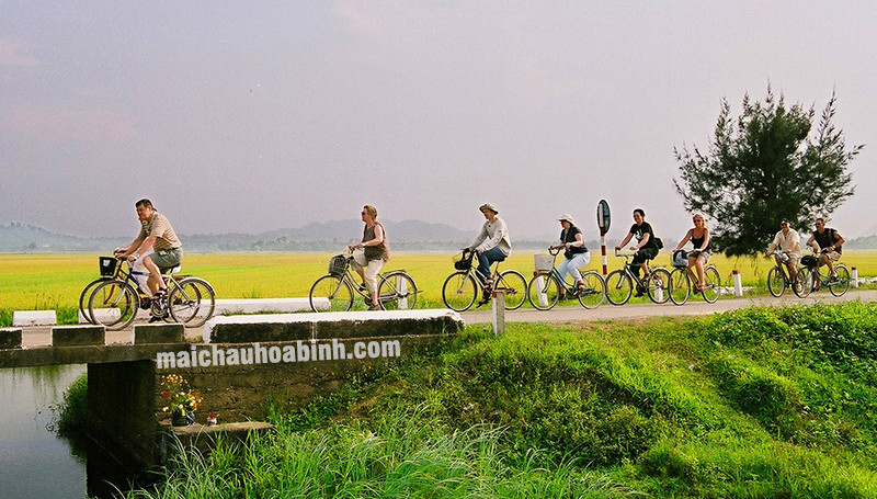 Khách du lịch đạp xe khám phá Mai Châu