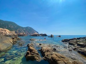 Làn nước biển trong vắt nhìn thấy đáy tại vịnh Vĩnh Hy