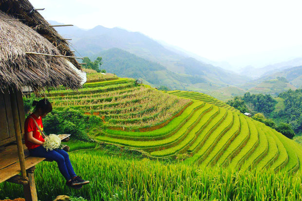 Bình minh ló rạng trên những thửa ruộng bậc thang Mù Cang Chải