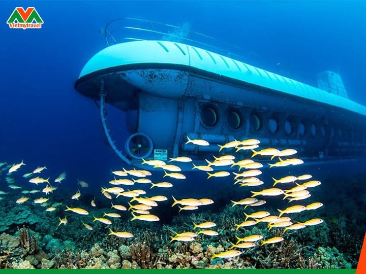 Du khách tham quan đại dương bằng tàu ngầm Waikiki