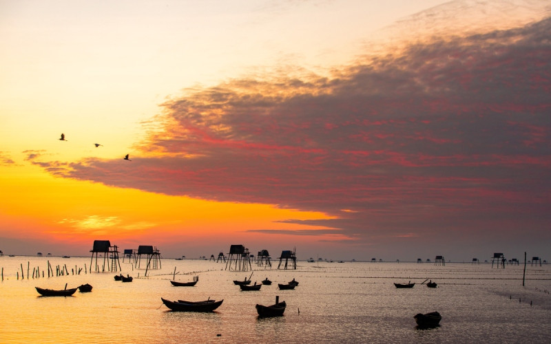 Cánh đồng lúa và đê biển đặc trưng của Thái Bình