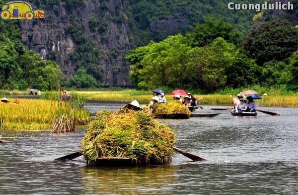 Cẩm Nang Du Lịch Tràng An Bái Đính 2024: Ăn gì, Đi đâu, Giá vé Mới Nhất 10 Khách tham quan đang đi thuyền qua một hang động xuyên thủy
