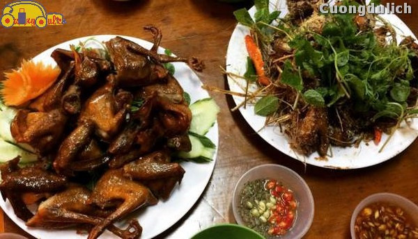 Món thịt chim trời Tràng An