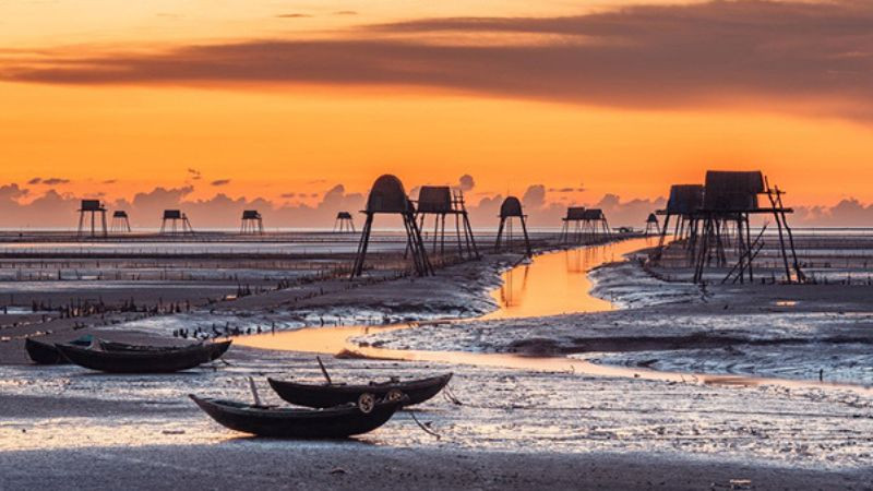 Cảnh quan sinh thái rừng ngập mặn tại Khu du lịch Biển Cồn Vành