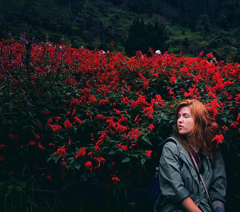 Cẩm nang khám phá Núi Hàm Rồng Sapa: Săn mây, ngắm hoa và 7 kinh nghiệm A-Z 12 Du khách nữ duyên dáng bên khóm hoa đỏ rực rỡ