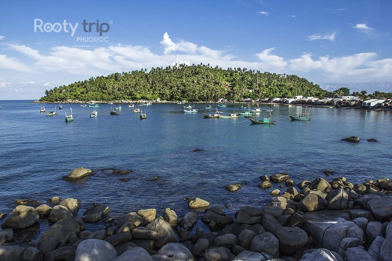 Địa điểm du lịch Hòn Sơn: Viên ngọc ẩn mình của Kiên Giang 8 Bãi Thiên Tuế Hòn Sơn với cây thiên tuế cổ thụ độc đáo giữa biển
