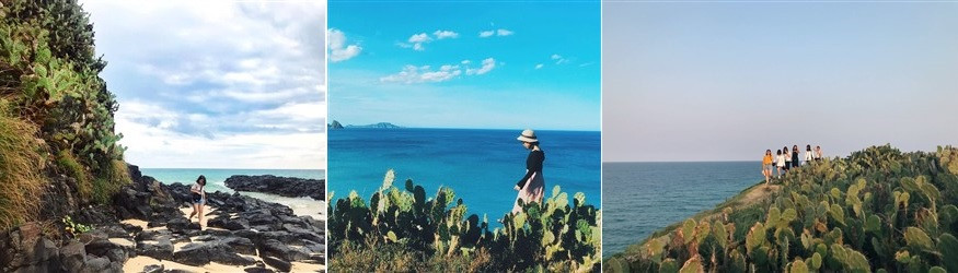 Kinh Nghiệm Du Lịch Phú Yên 3 Ngày 2 Đêm: Lịch Trình Khám Phá Xứ Hoa Vàng 10 Bãi Xép - Gành Ông, cảnh quay nổi tiếng trong phim "Hoa vàng trên cỏ xanh"