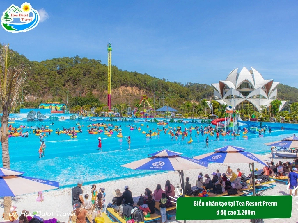 Thiết kế hiện đại của biển nhân tạo Tea Resort Prenn ở độ cao 1.200m