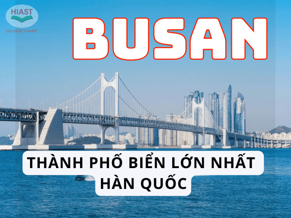busan 1