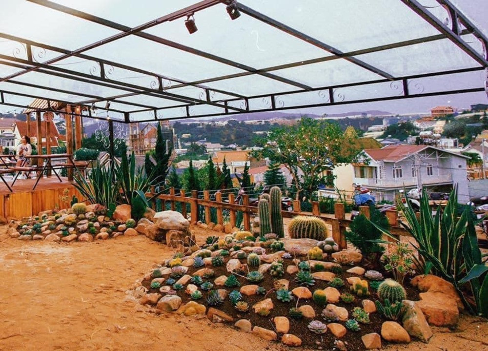 Khu vườn xương rồng nhỏ xinh với sức sống mạnh mẽ