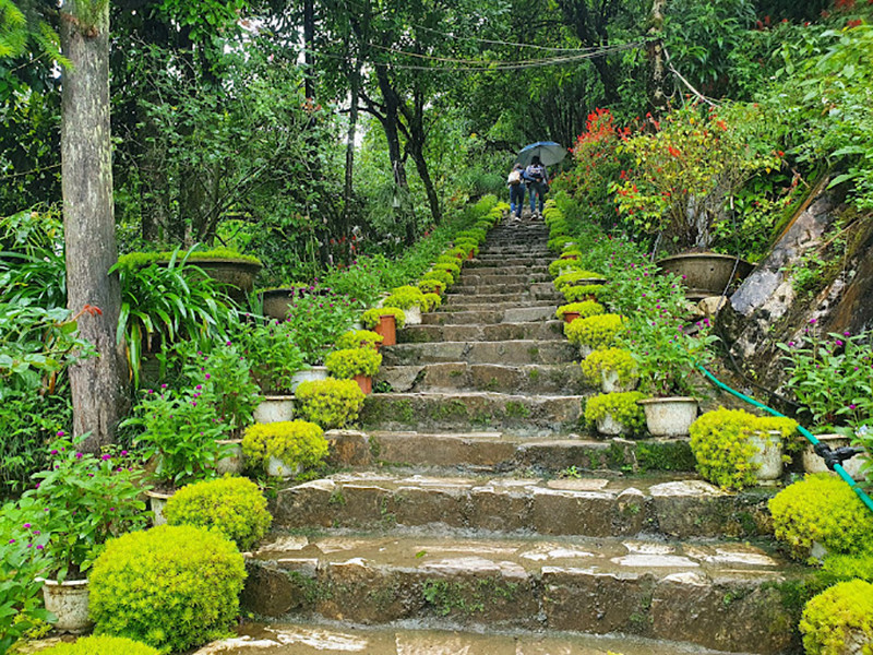 Cẩm nang khám phá Núi Hàm Rồng Sapa: Săn mây, ngắm hoa và 7 kinh nghiệm A-Z 2 Cầu thang leo bộ từ chân núi lên đỉnh núi Hàm Rồng