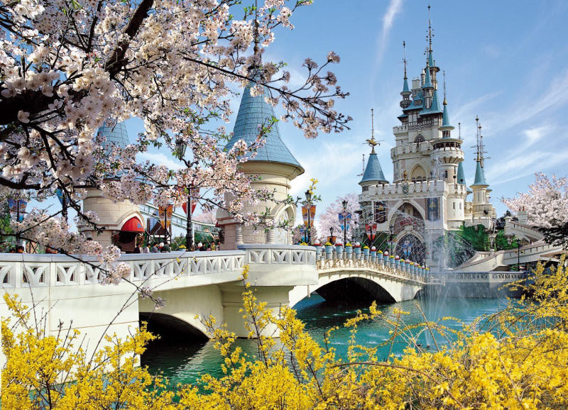 Thiên đường giải trí Lotte World Hàn Quốc: Kinh nghiệm vui chơi toàn diện 2 Cổng vào công viên Lotte World sau khi mua vé