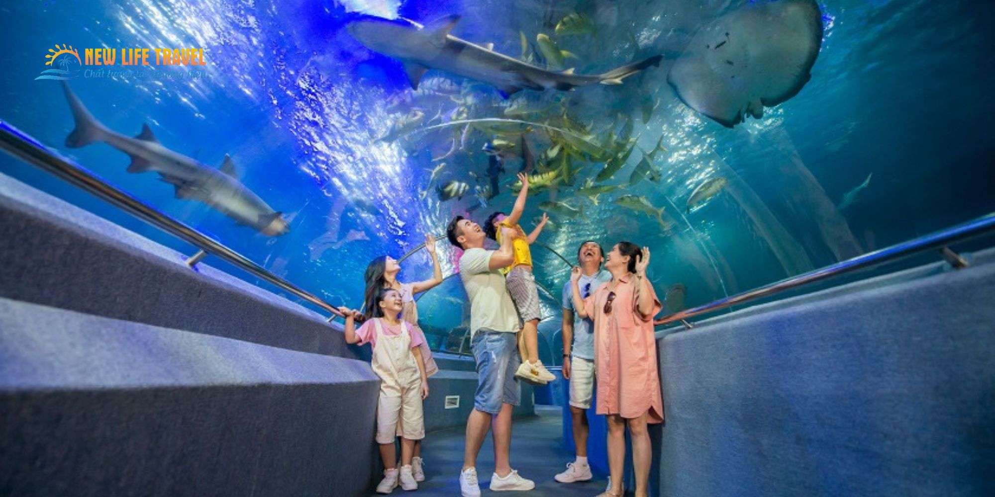Du khách tham quan thủy cung Aquarium tại VinWonders Nha Trang