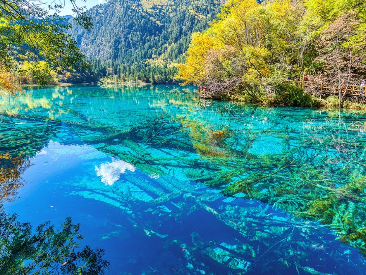 Hồ nước trong xanh dưới ánh nắng mùa hè tại Cửu Trại Câu