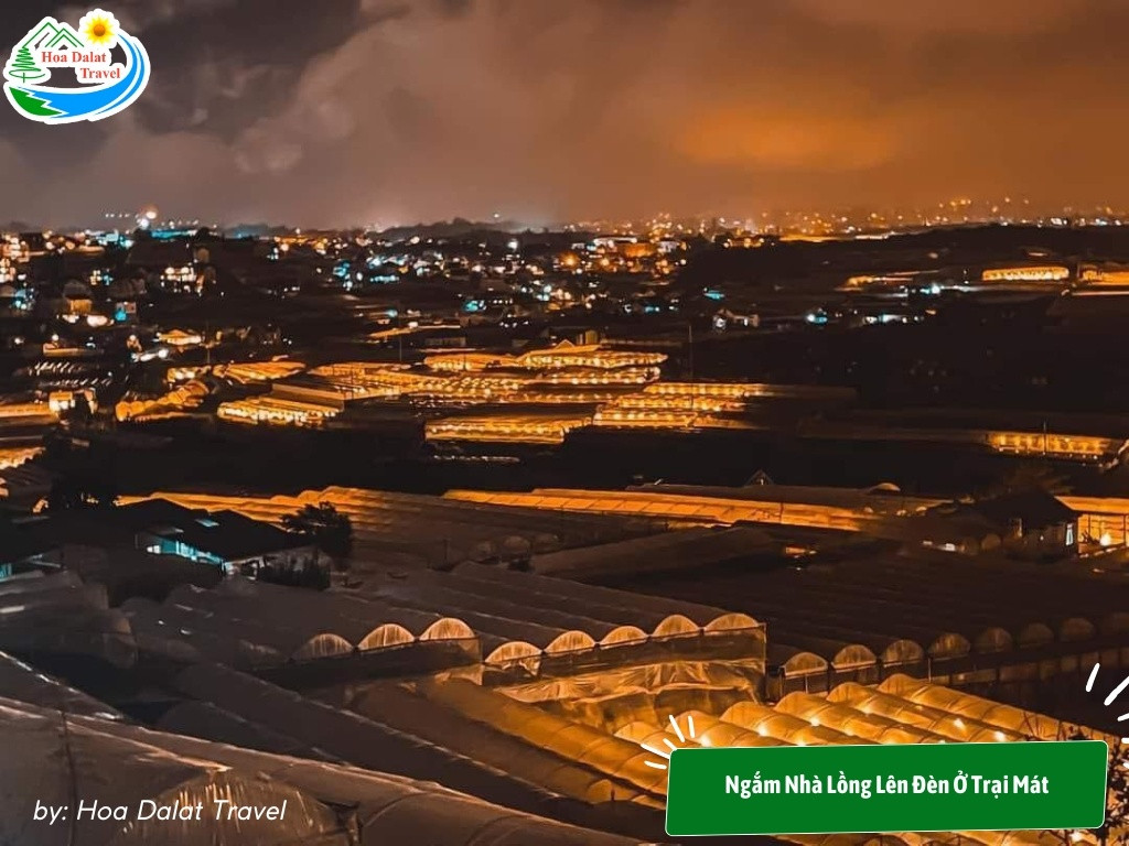 11+ Trải Nghiệm Hấp Dẫn Cho Chuyến Khám Phá "Đà Lạt Về Đêm" Lãng Mạn và Tiết Kiệm 7 Chiêm ngưỡng vẻ đẹp kỳ diệu của ánh đèn nhà lồng lên giữa màn đêm