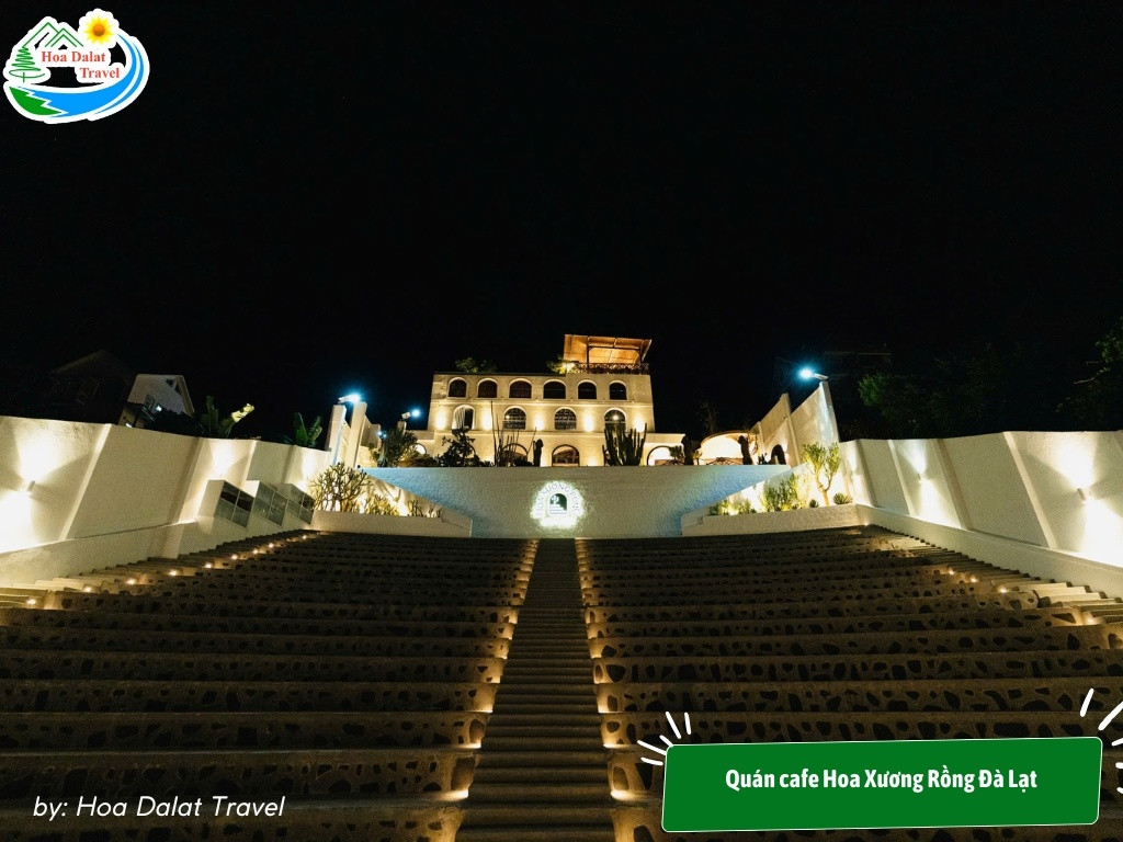 11+ Trải Nghiệm Hấp Dẫn Cho Chuyến Khám Phá "Đà Lạt Về Đêm" Lãng Mạn và Tiết Kiệm 10 Quán cafe Hoa Xương Rồng Đà Lạt về đêm