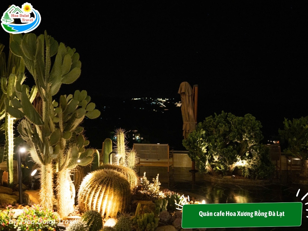 11+ Trải Nghiệm Hấp Dẫn Cho Chuyến Khám Phá "Đà Lạt Về Đêm" Lãng Mạn và Tiết Kiệm 11 Khung cảnh nhẹ nhàng và gần gũi tại Hoa Xương Rồng