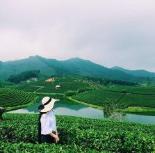 Check in đẹp tại đồi chè Thanh Chương
