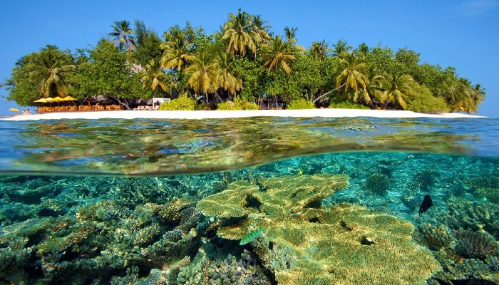 Cảnh biển xanh, cát trắng tại Đảo San Hô (Coral Island) ở Pattaya