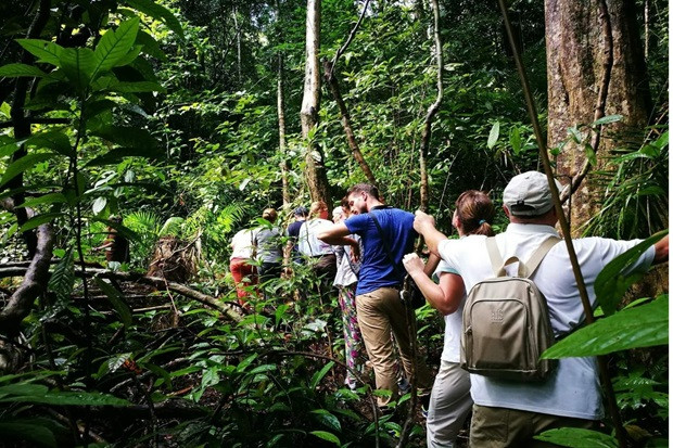 Đoàn khách tham quan khám phá rừng nhiệt đới Langkawi