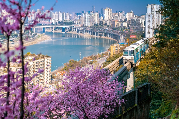 Mùa xuân là thời gian lý tưởng để khám phá du lịch Trùng Khánh