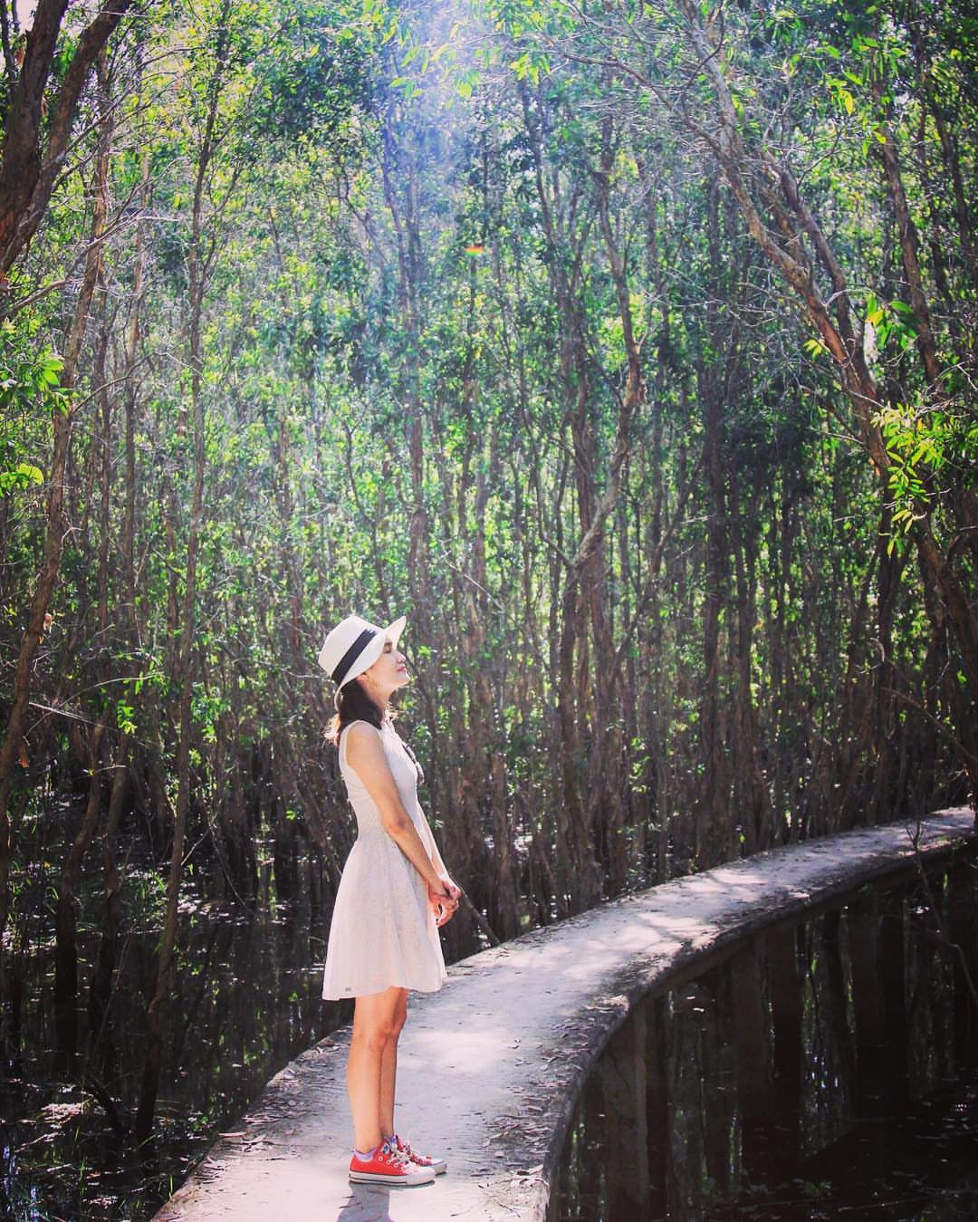 Con đường xuyên rừng tràm tại Làng nổi Tân Lập