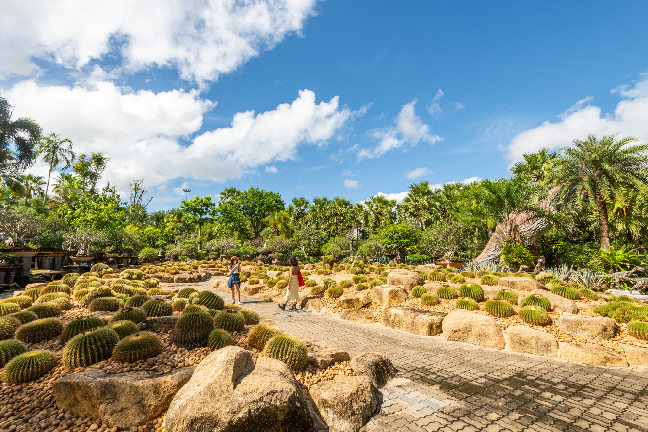 Vườn nhiệt đới Nong Nooch tuyệt đẹp