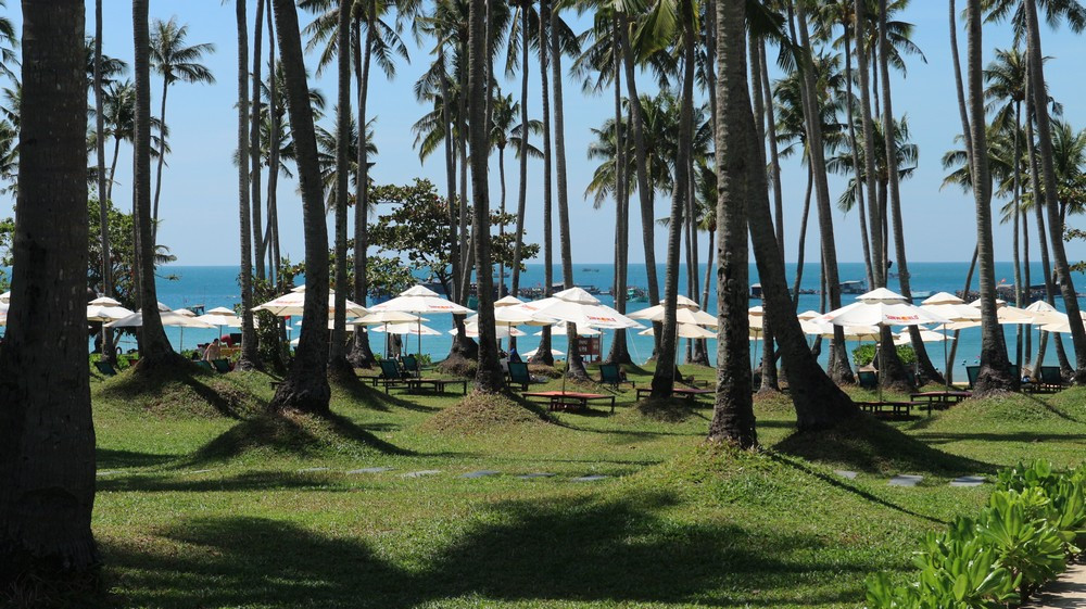 Cáp Treo Hòn Thơm (Phú Quốc): Trải Nghiệm Tuyệt Vời và Cẩm Nang Từ A đến Z 12 Bãi Trào Hòn Thơm với bãi cát trắng và hàng dừa xanh mát