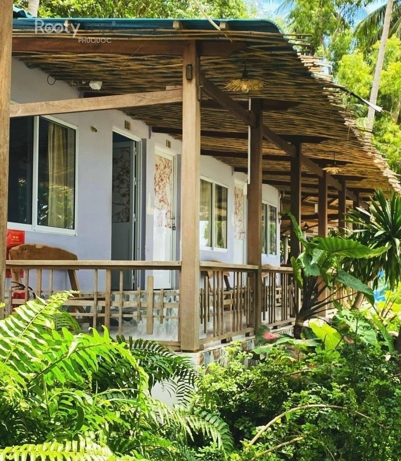 Địa điểm du lịch Hòn Sơn: Viên ngọc ẩn mình của Kiên Giang 14 Rái Cá Homestay Hòn Sơn với vị trí sát biển, mang đến không gian nghỉ ngơi thư giãn