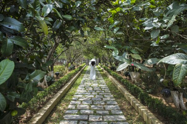 Khám Phá Nhà Vườn An Hiên Huế: Dinh Thự Cổ Hơn 100 Năm Tuổi Trên Sông Hương 8 silkpath hue an hien garden house attraction in hue 4