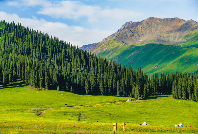 Đại thảo nguyên Nalita Tân Cương, tiếng gọi từ đồng cỏ!