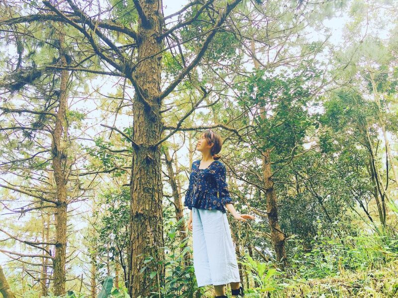 Cẩm nang khám phá Núi Hàm Rồng Sapa: Săn mây, ngắm hoa và 7 kinh nghiệm A-Z 3 Thảm thực vật phong phú tại núi Hàm Rồng