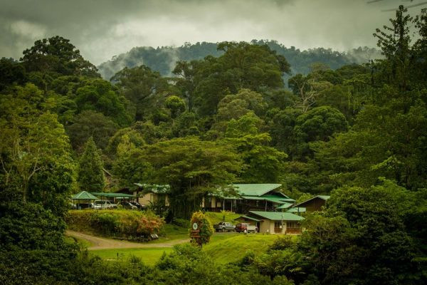 Cẩm Nang Du Lịch Malaysia: Khám Phá 14 Điểm Đến Tuyệt Đẹp & 11 Món Ăn Đặc Sắc 7 Thung lũng Danum với không khí huyền bí, ấn tượng