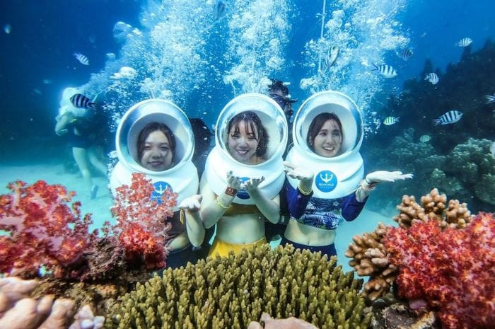 Trải nghiệm đi bộ dưới biển ngắm san hô