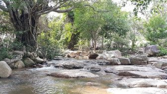 Suối Lồ Ồ với đá và nước chảy róc rách