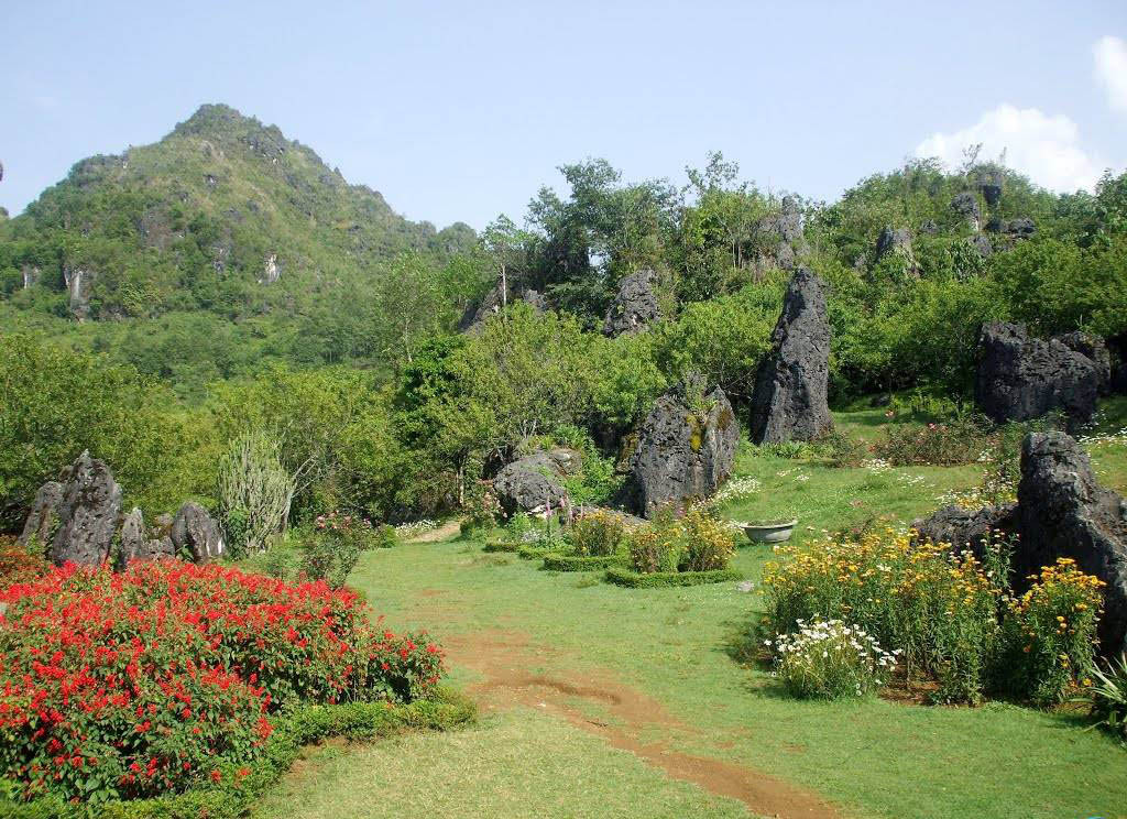 Du khách chụp ảnh tại Vườn đá Thạch Lâm