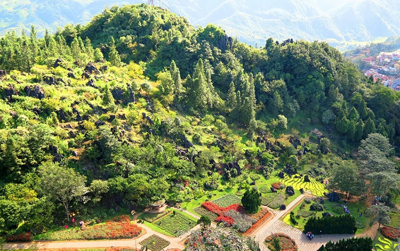 Cẩm nang khám phá Núi Hàm Rồng Sapa: Săn mây, ngắm hoa và 7 kinh nghiệm A-Z 6 Vườn hoa trung tâm quy tụ nhiều giống hoa xứ lạnh nhập khẩu