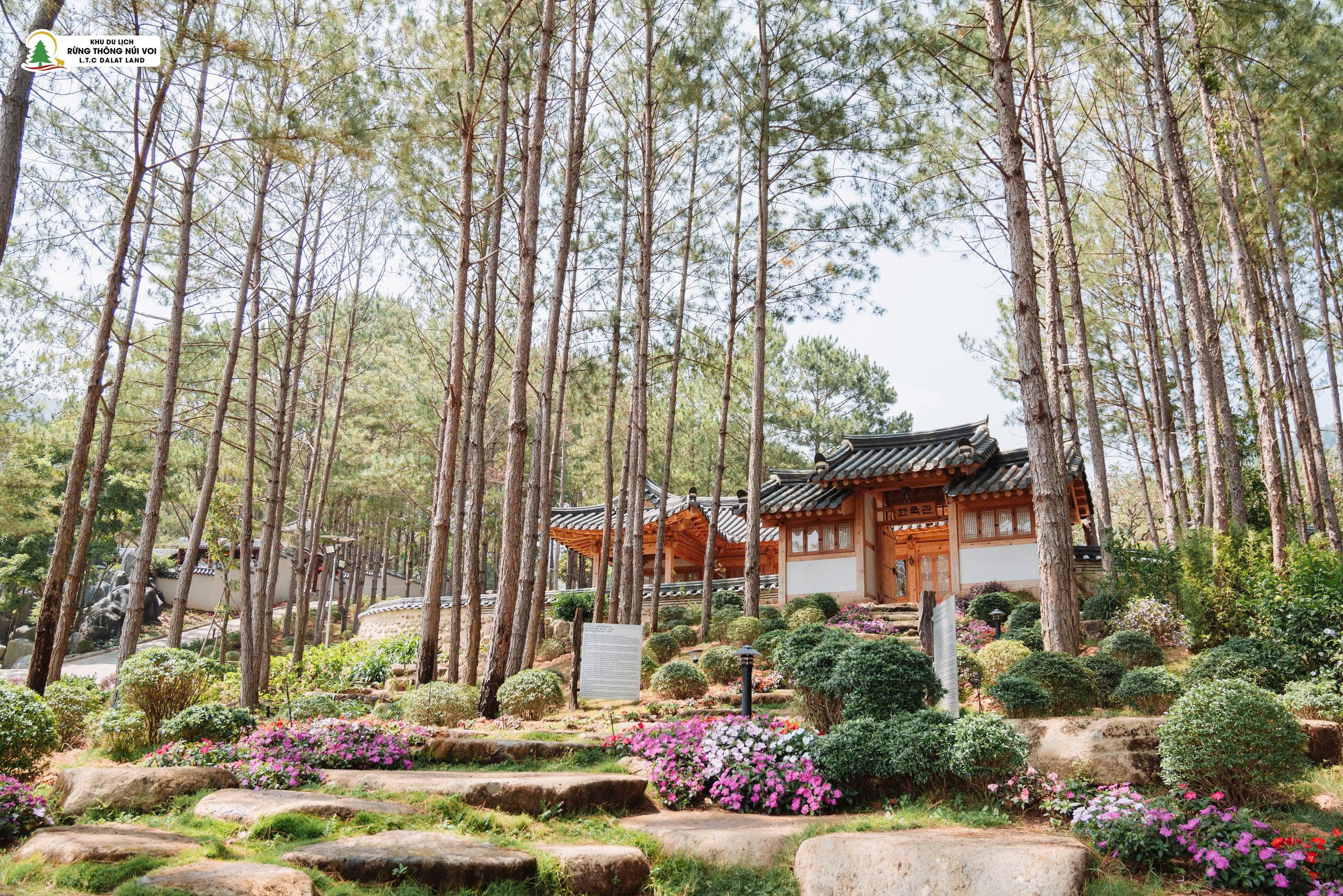 z7260771268915f3d6a673b1ff53a99a846ccb4aa3451f 1