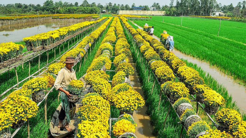 22 dia diem du lich dong thap noi tieng cuc dep hut khach 202206021514029227 1