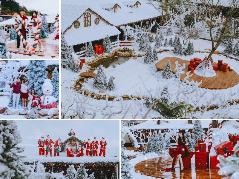 Check in với khu vườn “Xứ Sở Băng Giá” tại Puppy Farm