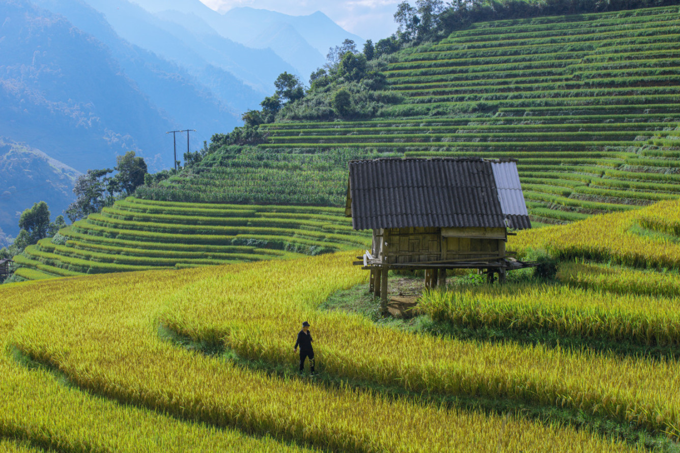Bản Lao Chải đẹp nhẹ nhàng như sương sớm