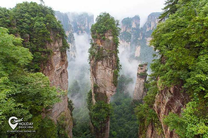 Cẩm Nang Du Lịch Trương Gia Giới (2025): Khám Phá Kỳ Quan "Pandora Trên Trái Đất" 12 Núi Hallelujah nổi tiếng tại Viên Gia Giới
