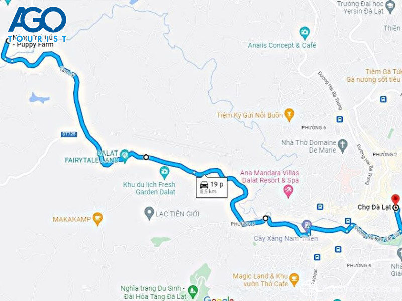 Puppy Farm Đà Lạt 2026: Giá Vé, Giờ Mở Cửa & Trọn Bộ Kinh Nghiệm Chi Tiết 7 huong dan duong di tu cho da lat den puppy farm 1