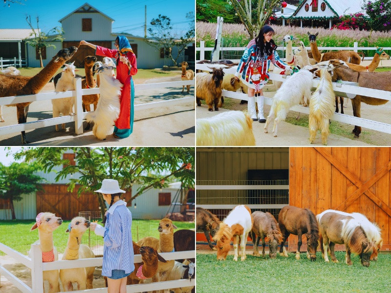 Tham quan khu vườn sở thú và trải nghiệm cho thú ăn khi đến với Nông trại cún Puppy Farm Đà Lạt